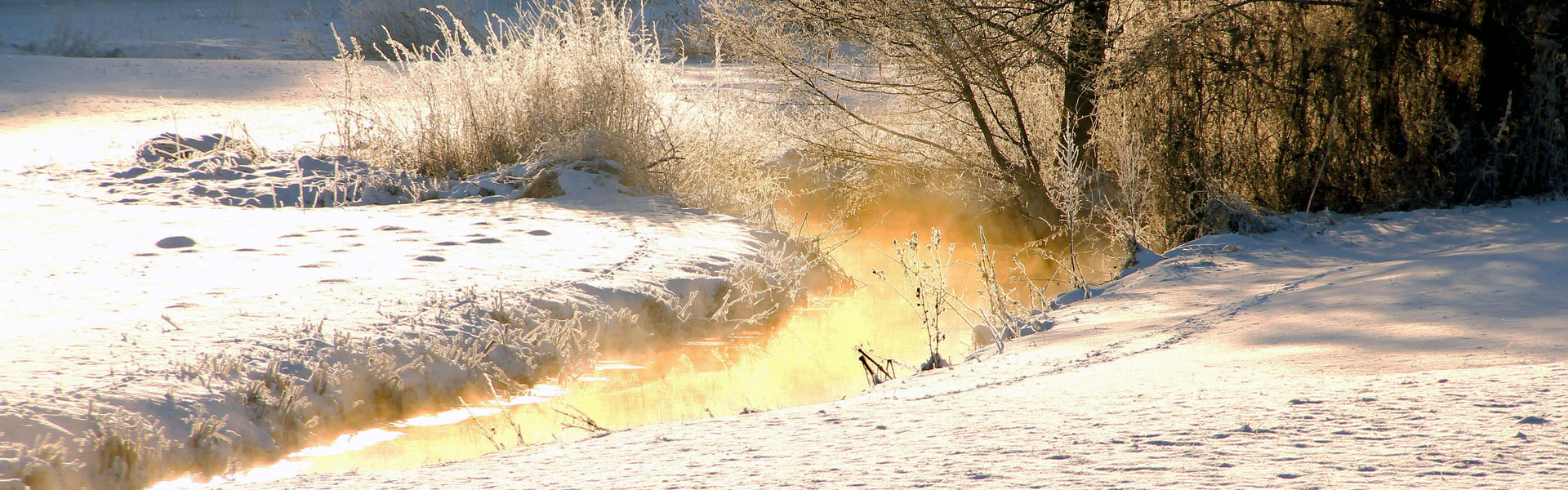 Header Gemeinde Schiltberg 002